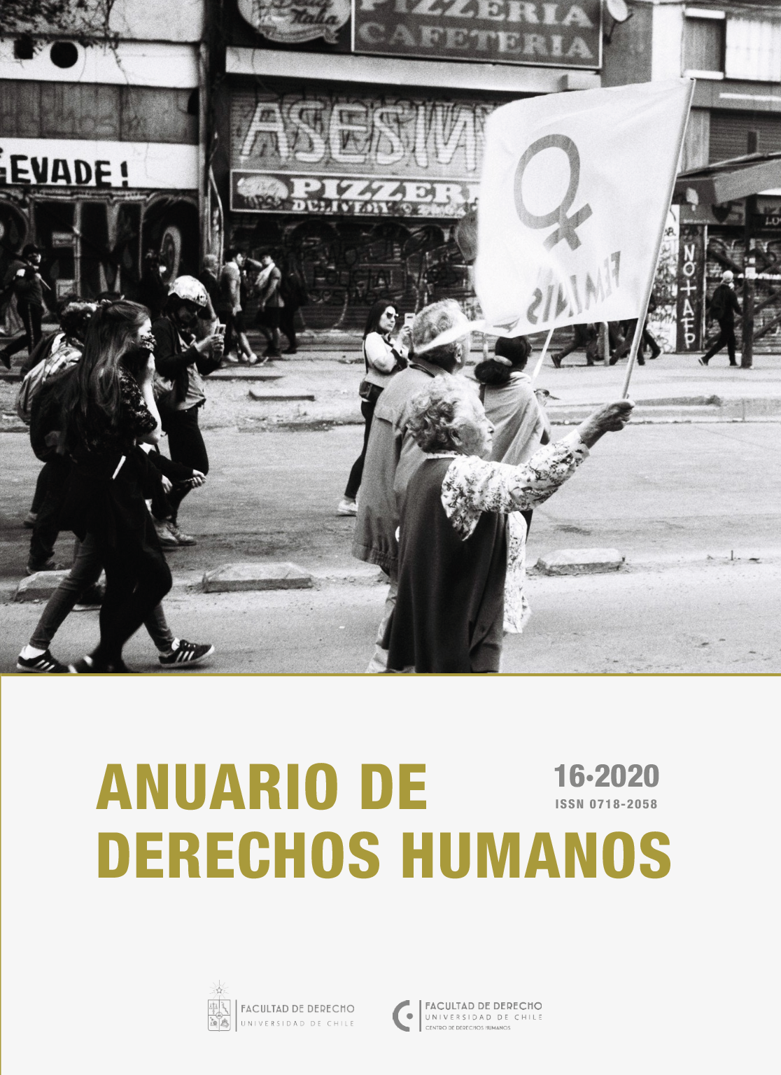 											Visualizar v. 16 n. 1 (2020): Anuario Derechos Humanos
										