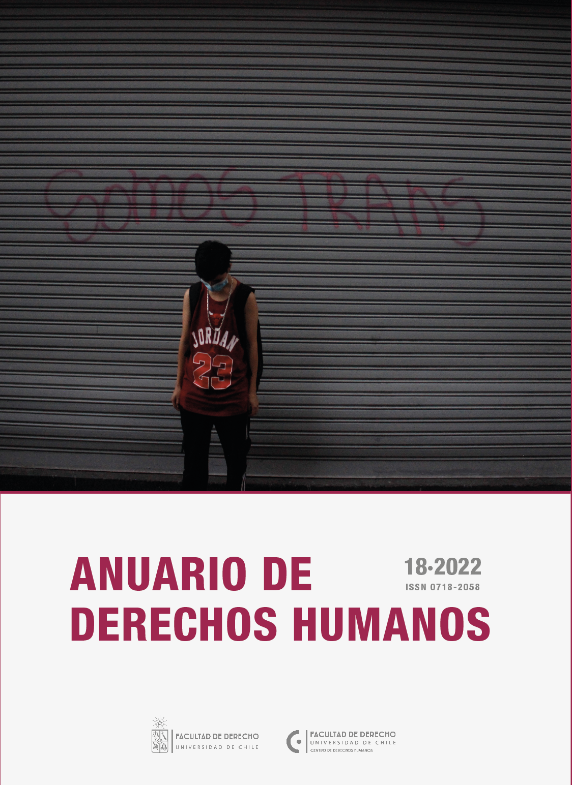 												Visualizar v. 18 n. 2 (2022): Anuario de Derechos Humanos
											